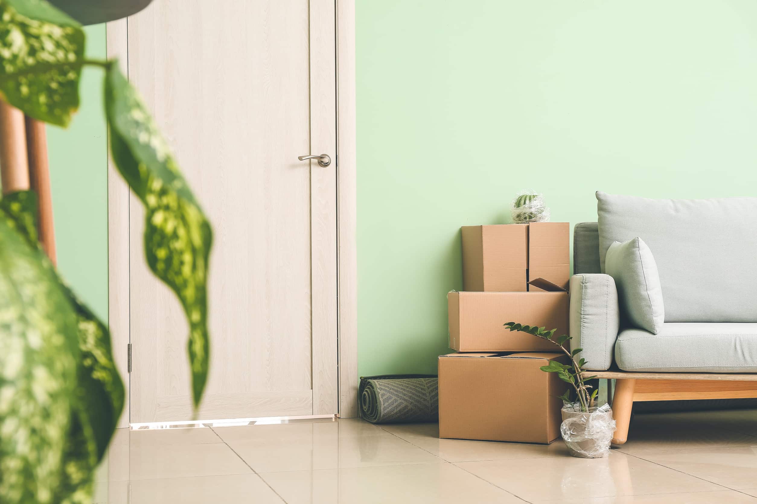 Cardboard boxes with accessories and sofa in new flat on moving day